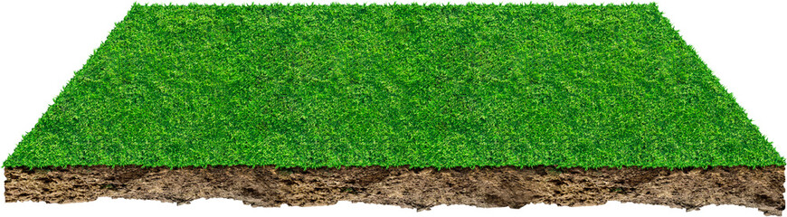 Square of green grass field, Sports field. Summer team games.