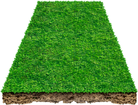 Square of green grass field, Sports field. Summer team games.