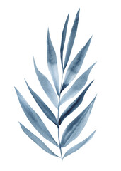 Dark blue tropical leaves on isolated white background, abstract watercolor, clip art
