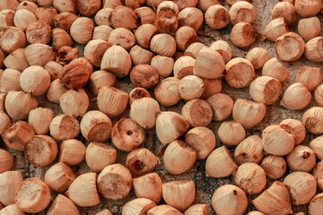 Dried betel nut is a cereal and nut food. They are brown and often chew. and in India, Burma, Thailand and in South Asia. it was also used as a medicinal herb for sale.