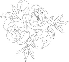 doodle line art peony flower bouquet elements © Unchalee