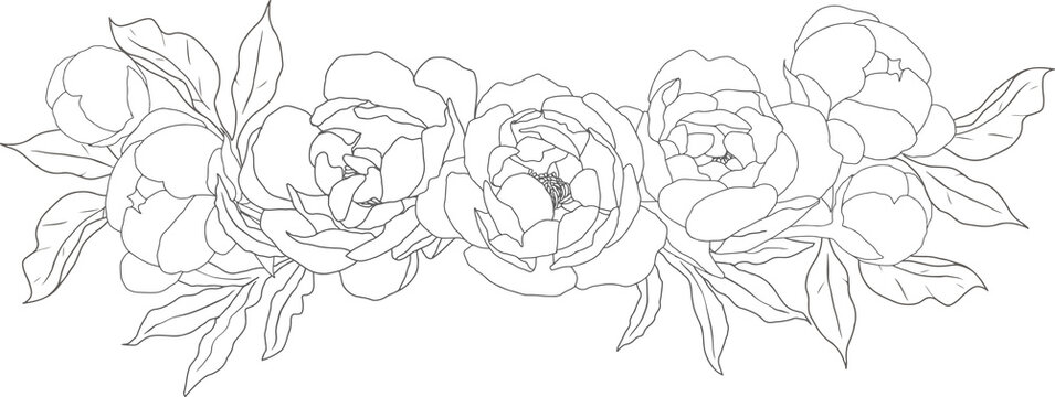doodle line art peony flower bouquet elements