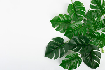 Flatlay monstera leaves background with blank space for a text closeup.