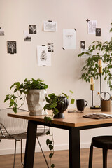 Fototapeta na wymiar Stylish composition of cozy office interior with black chair, wooden table, plants, office accessories, post cards, decorations and personal accessories. Modern home decor. Template.