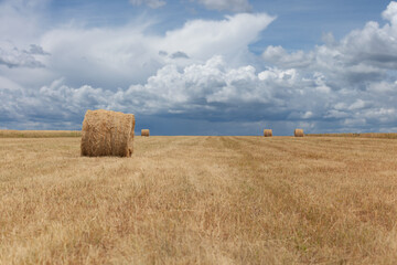 Fototapeta na wymiar Hay bales in the field under the cloudy blue sky