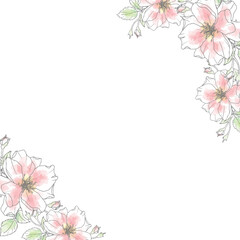 doodle line art rose flower bouquet on paper background