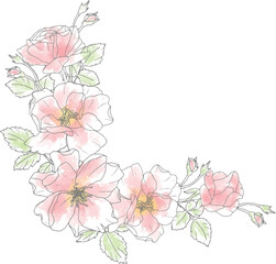 loose watercolor doodle line art rose flower bouquet elements