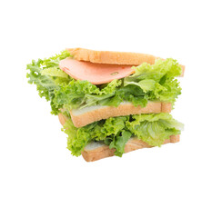 Homemade sandwich isolated