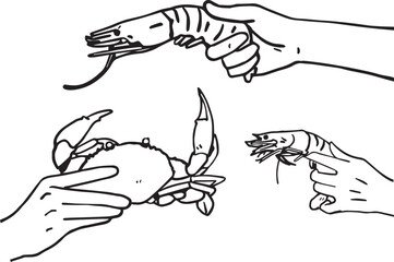 : Cartoon fresh seafood, crab and shrimp