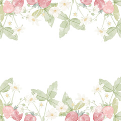 watercolor hand drawn wild strawberry square banner