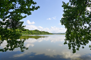 View through the foliage to the clouds that are reflected in the lake 