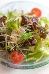 韓国風のサラダ