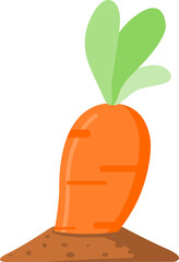 Carrot vegetable growing png design.