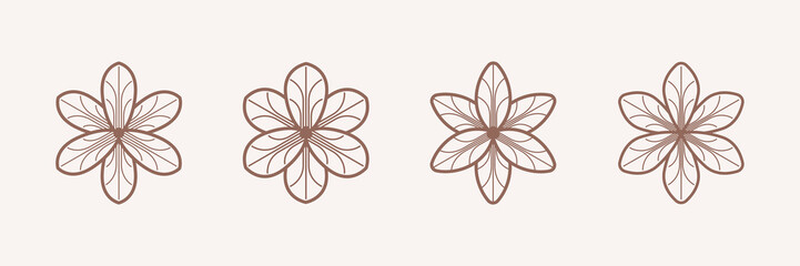 Saffron flower. Contour vector illustration for packaging, corporate identity, labels, postcards, invitations.