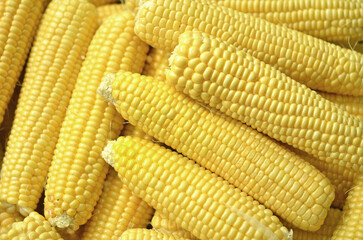 Обелена жълта сладка царевица (кочан) в близък план,фон