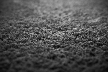 Grey modern floor rug texture. Generic long pile carpet for indoor use.