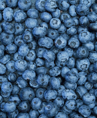 Vegan mock-up background. Fresh blueberry flat lay. Blueberries ready to eat snack concept.