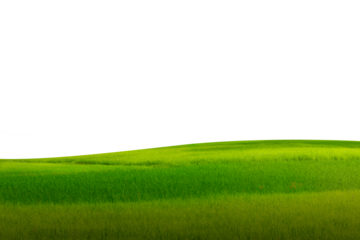grassland at hill isolated