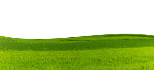 grassland and hill isolated