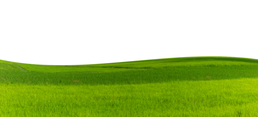 grassland and hill isolated