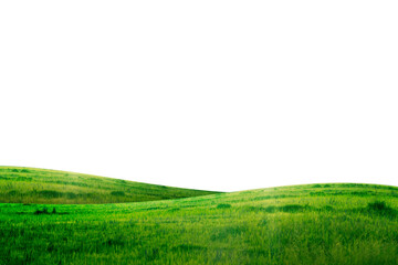 green grass hill isolated - obrazy, fototapety, plakaty