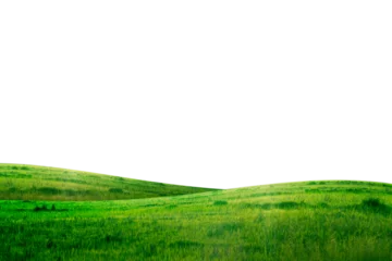 Foto op Plexiglas green grass hill isolated © thekopmylife