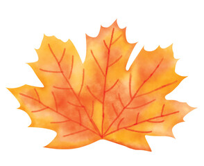 Maple leaf Watercolor Clipart, autumn, Digital art, illustration PNG