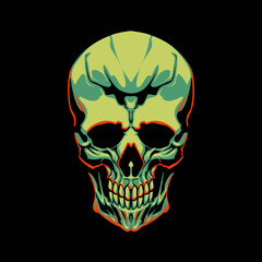 the skull head illustration vector