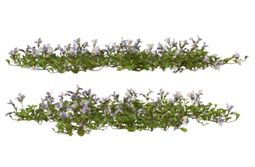 Fotobehang Flowers on a transparent background © jomphon