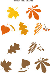Match the shapes children game. Different types of leaves. Vector illustration in cartoon style. Colorful activity page for kids autumn season.