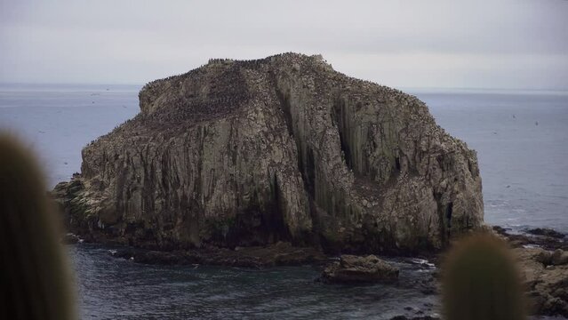 Flock of birds resting and flyng in Pe&ntilde;a Blanca rocky islet in sea on an overcast day, Algarrobo, Chile
