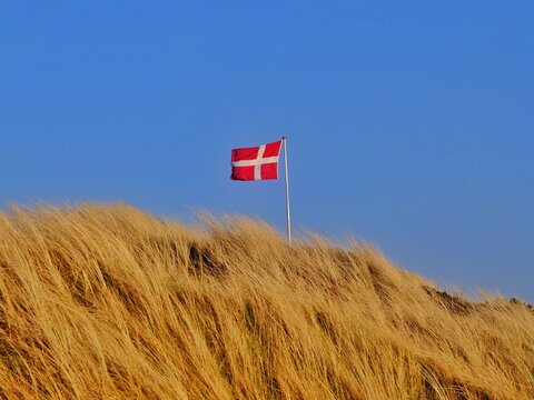 Danish flag blowing in the wind over the top of a sand dune, Fanoe, Jutland, Denmark