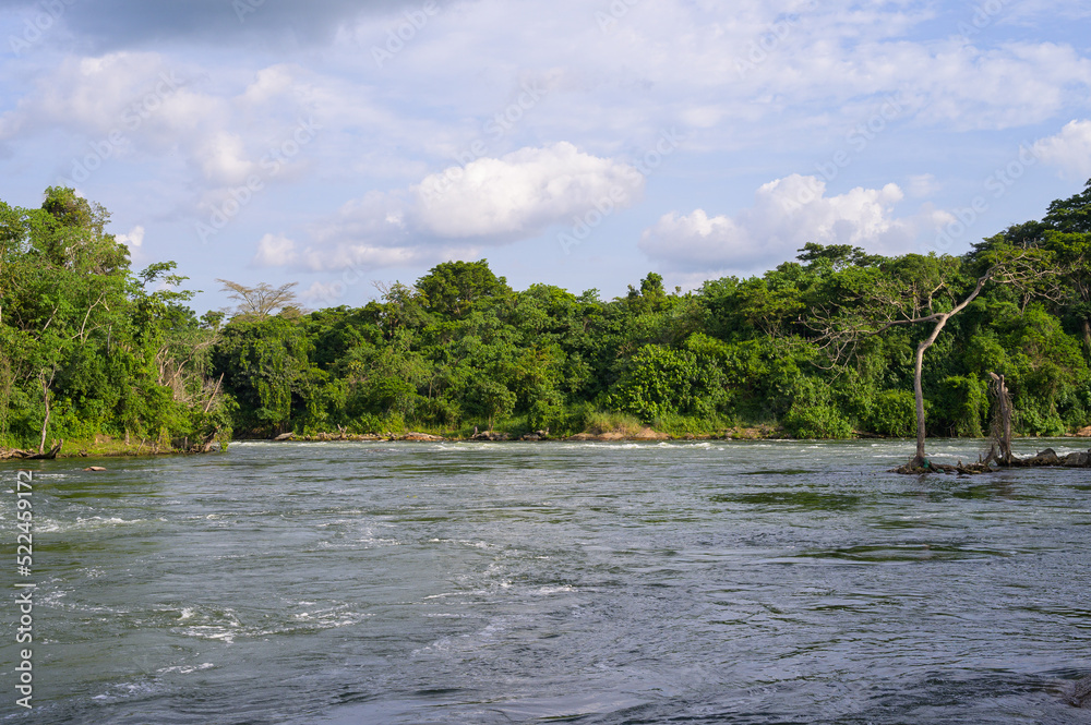 Wall mural the itanda falls of the victoria nile