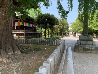 Fototapeta premium 鑁阿寺の多宝塔