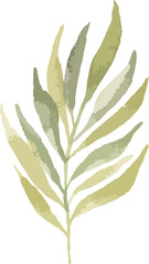 watercolor hand drawn  florist 