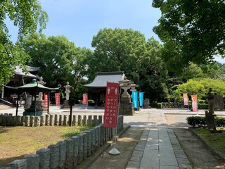 鑁阿寺の境内