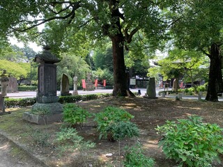 鑁阿寺の境内