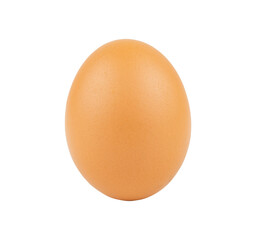 Chicken egg