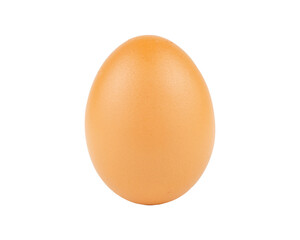 Chicken egg