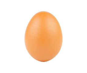 Chicken egg