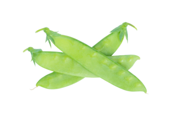 Sugar Pea, Snow peas