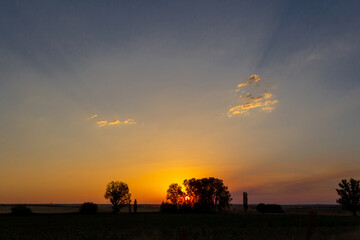 Sun hiding behind trees at sunset. Selective focus. Copy space.