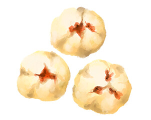 Chinese food bbq pork baozi bun dim sum yum cha watercolor painting illustration