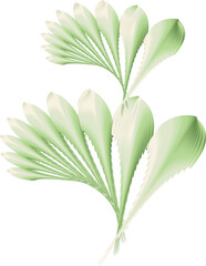 Flower blossom petal botanical leaf plant ornament decorative abstract background art graphic design pattern illustration png