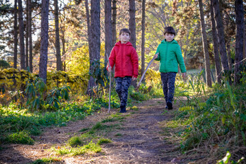 Fototapeta premium Two boys are running in the autumn forest. Two sibling brother b