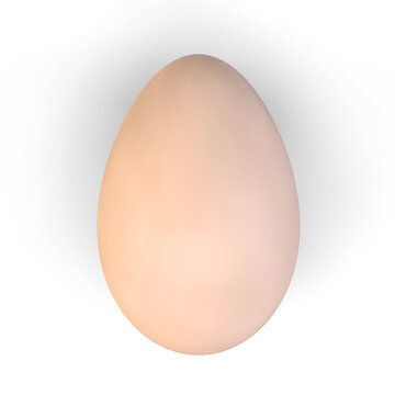 3d render of a chicken egg on a white background. View from above.