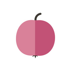 Obraz premium fruit vector rose apple isolated