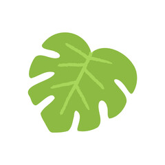 single green monstera leaf flat style