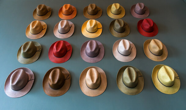 Colourful trilby hat collection, displayed on a wall. A multi coloured  selection of Trilby hats also known as the Fedora hat, as worn by Frank  Sinatra. selective focus. Bright colourful display Stock Photo | Adobe Stock