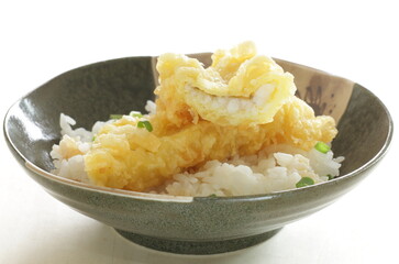 Japanese food, eel deep fried Anago Tempura on rice